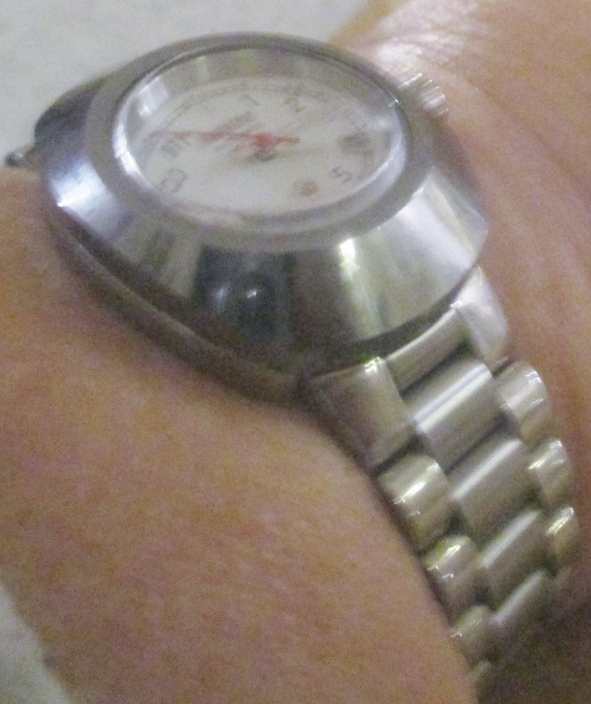 xxM1131M Lady Rado Automatic 100M